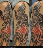 Design Of Phoenix Tattoos Tribal On Upper Arms