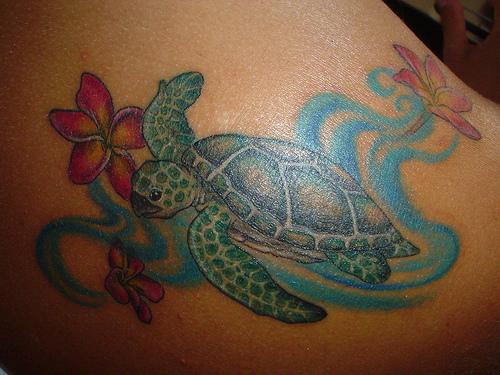 Colorful Turtle Tattoo Designs For Women