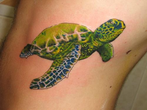 Surreal Tattoo Of Turtle