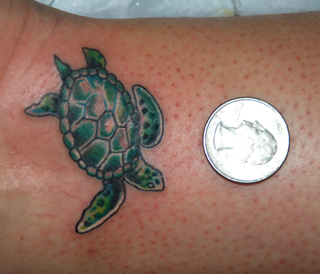 Little Turtle Tattoo Ideas – Animal Tattoo