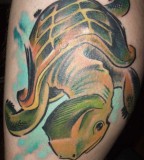Green Turtle Tattoo Pictures