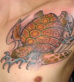 Turtle Tattoos Pictures Design