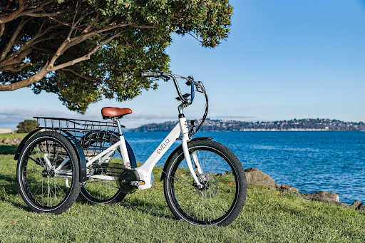 Choosing the Perfect Foldable E-Trike: Factors to Consider
