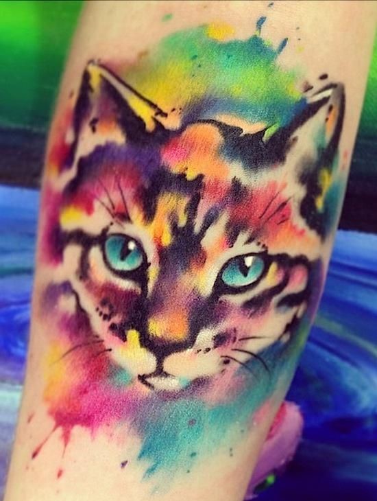 watercolor kitten