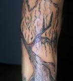 Gorgeous Weeping Willow Tree Tattoo on Half Sleeve