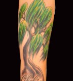 Beauty of Ofies Willow Tattoo Picture 