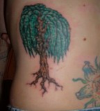 Small Weeping Willow Tattoo Picture