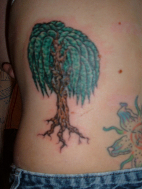 Small Weeping Willow Tattoo Picture Tattoomagz Tattoo Designs Ink Works Body Arts Gallery,Proposal Ideas