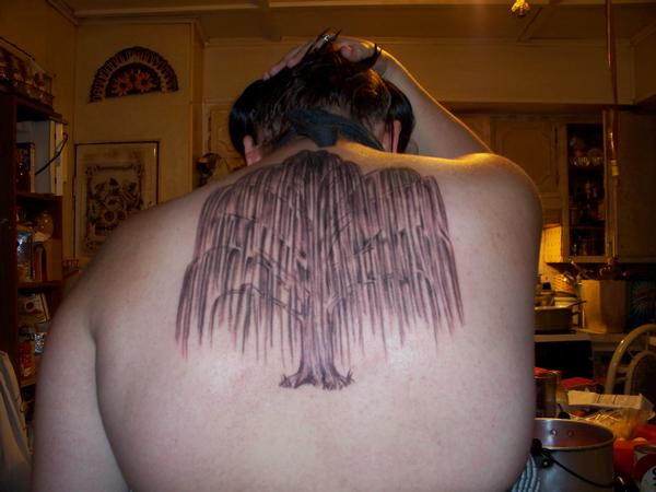 Light Brown Weeping Willow Tree Tattoo on Woman’s Back