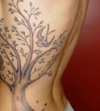 Big Willow Tree Tattoo On Rib