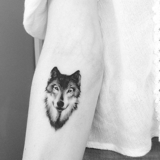 wolf-tattoo-by-adrian-bascur