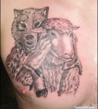 Angry Wolf And Goat Tattoo Chest Tattoo