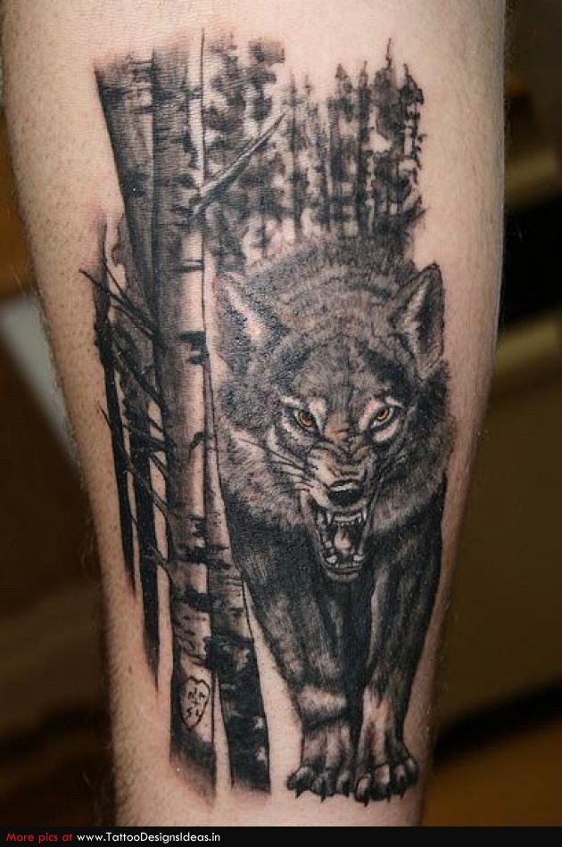 Wild Wolf Tattoo Image For Men