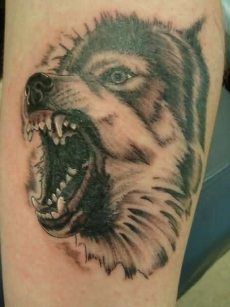 Terrifying Wolf Tattoos Designs For Men