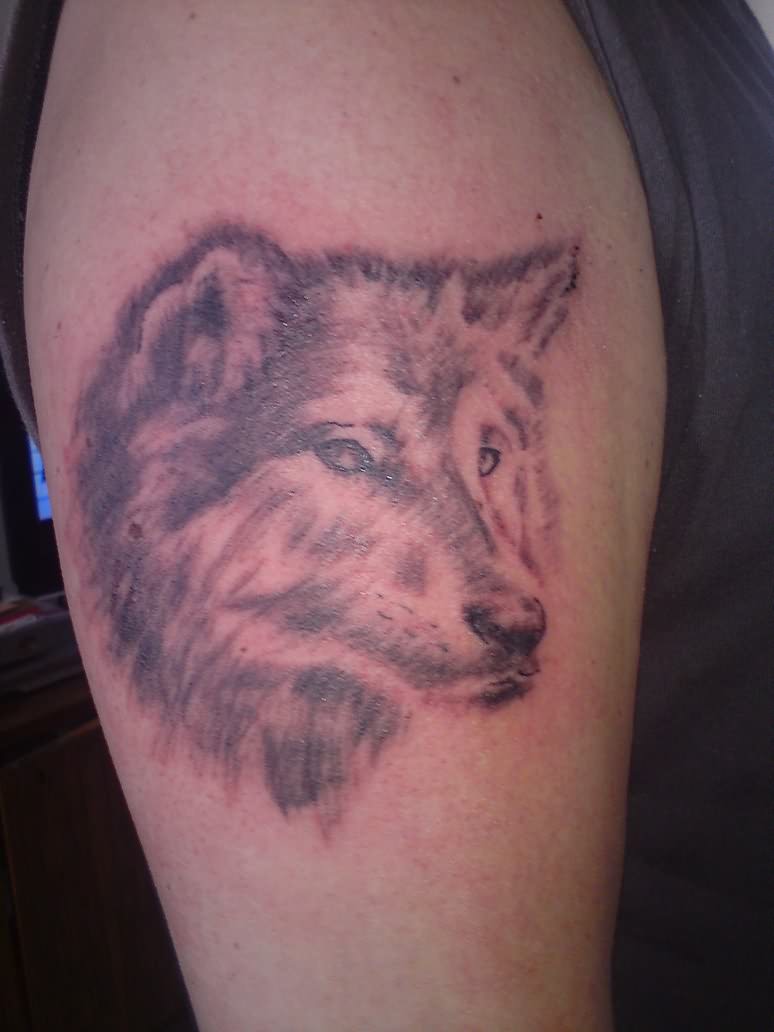 Wolf Tattoo For Men On Bicep – Wolf Tattoo Design